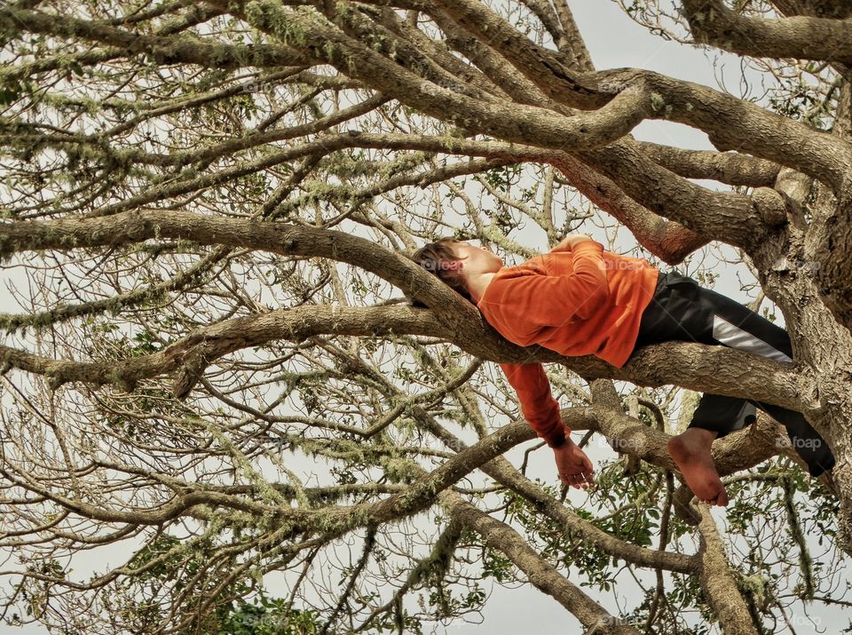 Boy Resting On A Tree Branch
