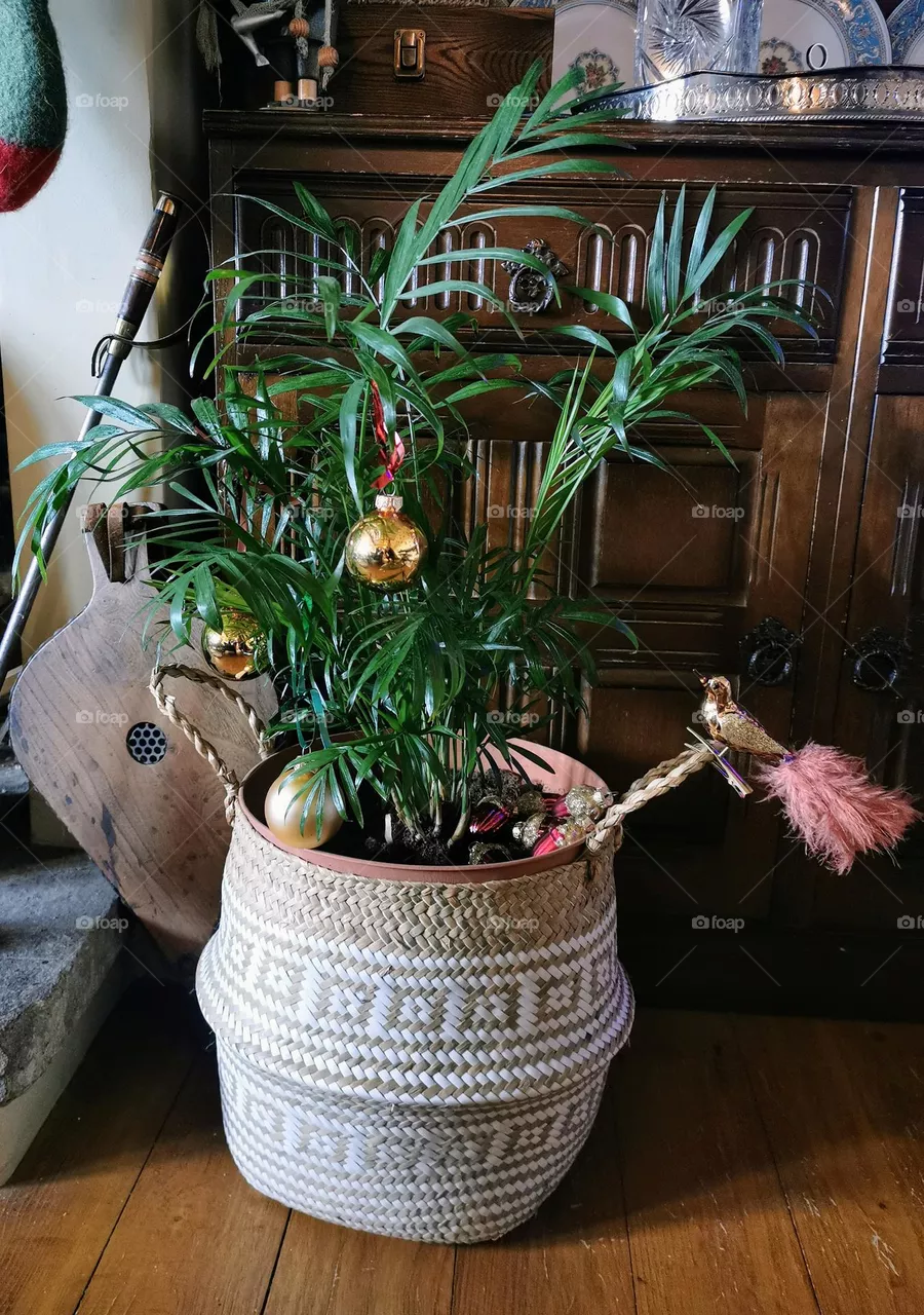 Festive palm tree