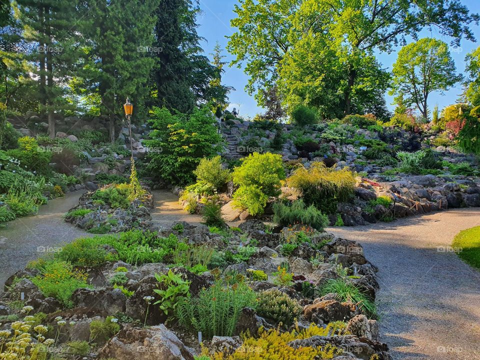 Bright colors of a botanical garden is what will make you feel great. Estonian nature