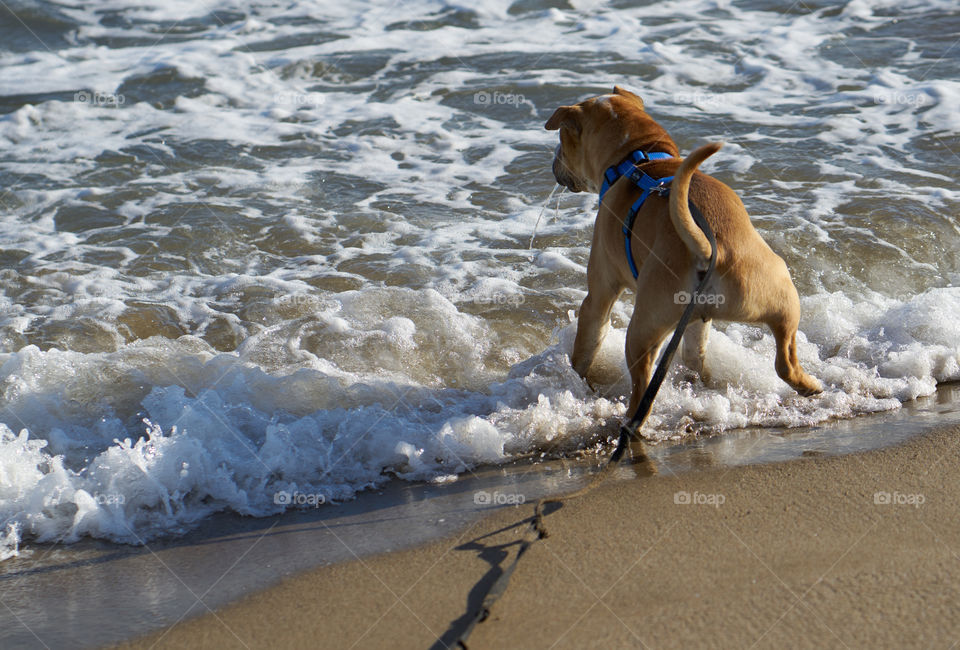 First time at the beach