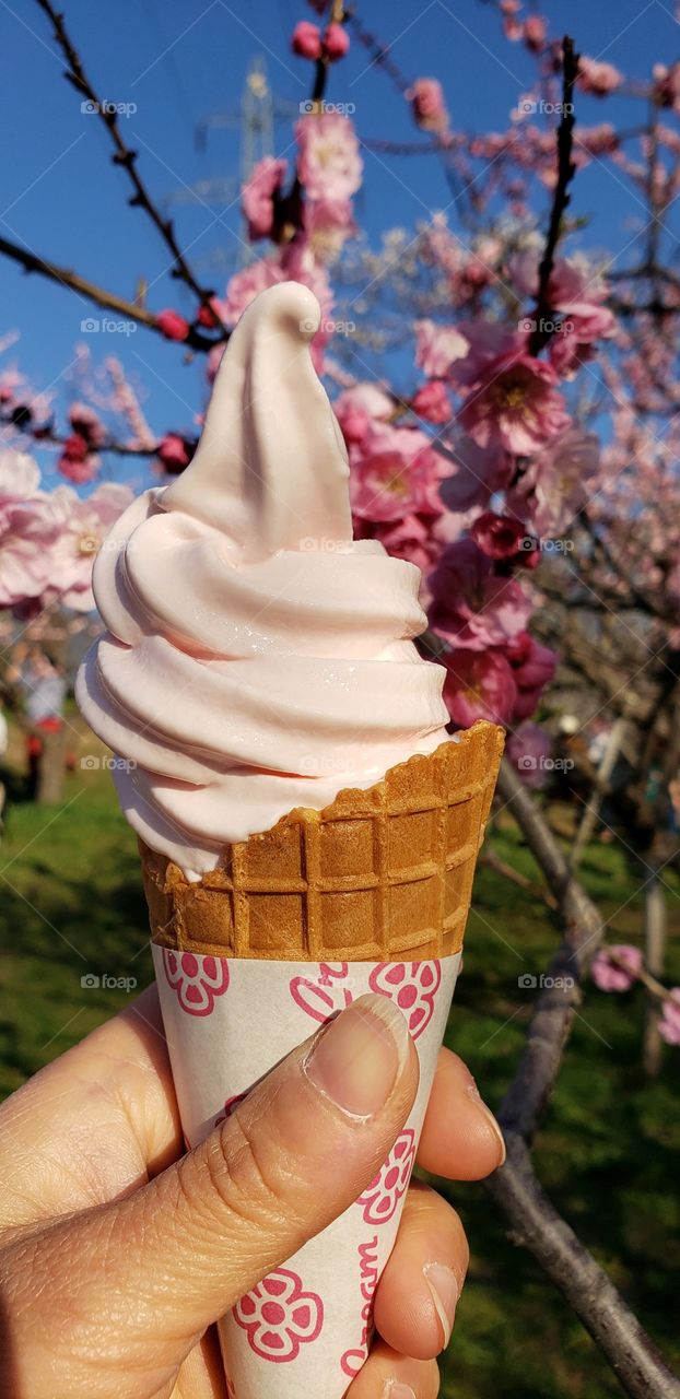Japanese plum ice cream