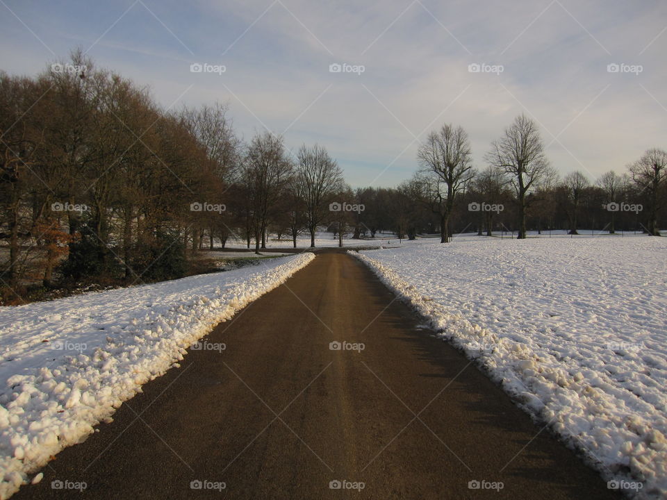 Winter, Snow, Landscape, Tree, Road