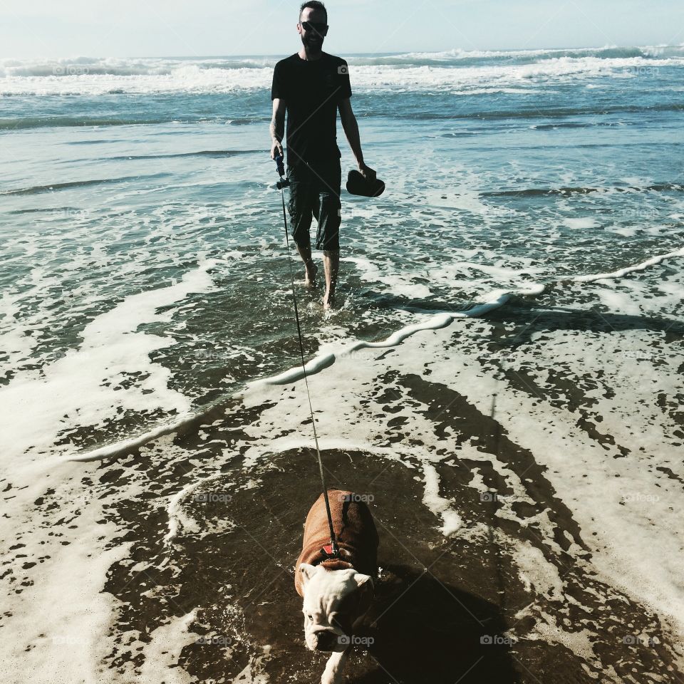 Fort Funston Bulldog. Beach Doggy