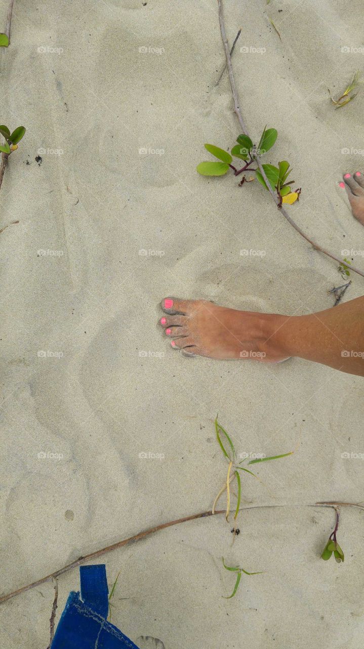 pink toes in the sea sand