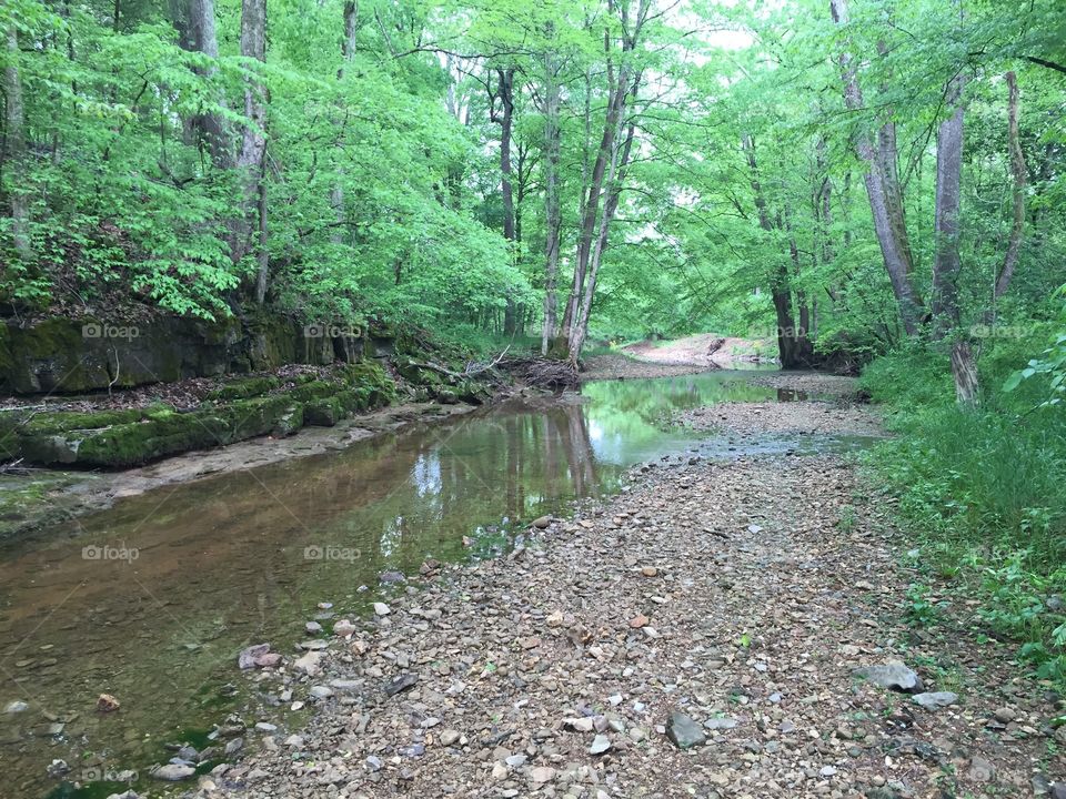 Macadoo creek Montgomery county Tennessee 