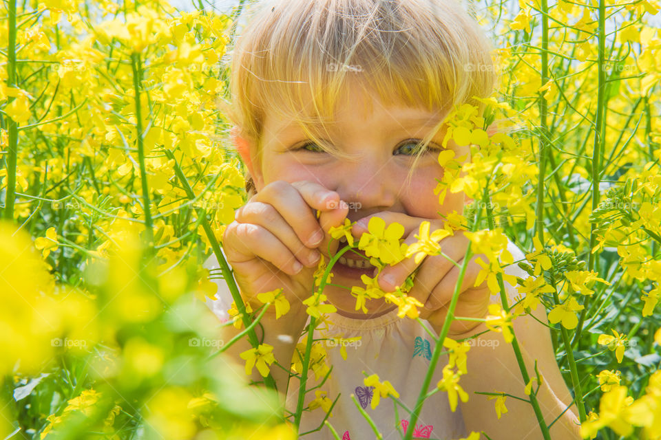 Mischievous and curious little girl of three years playing in a raps field outside the city of Malmo in Sweden