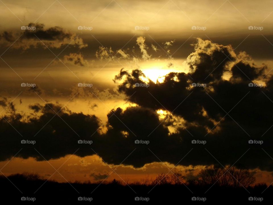 look close enough and you will find incredible things