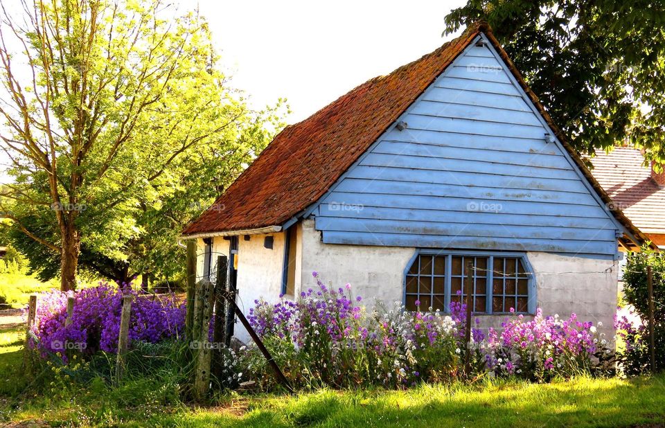 beautiful cottage
