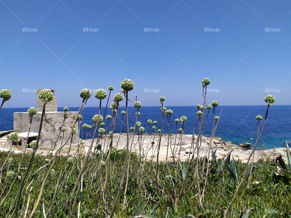 colors of Malta