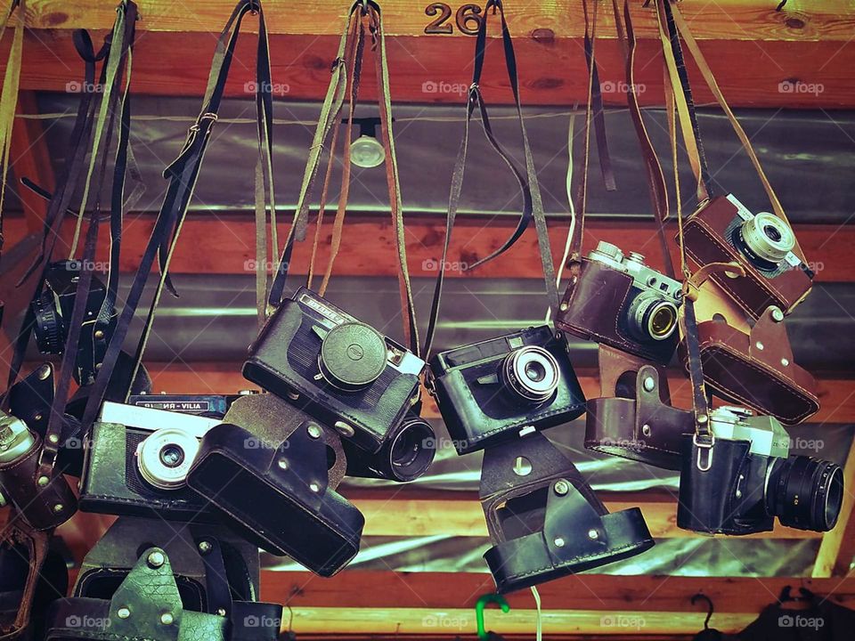 Old models of cameras from different years hang on a wooden showcase.