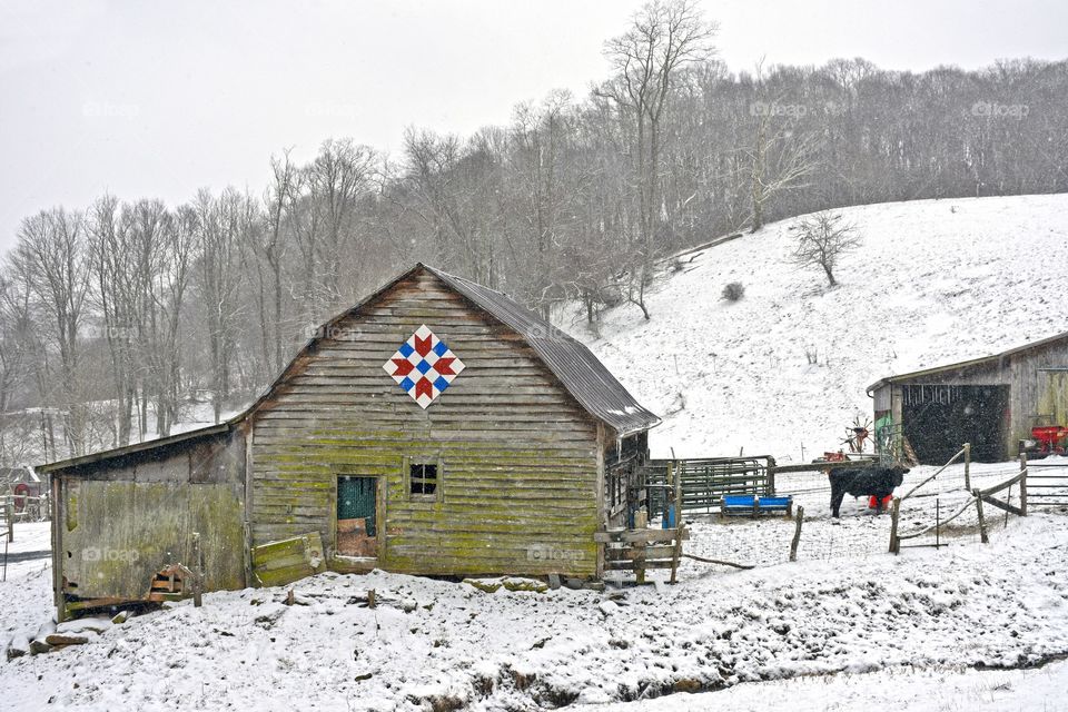 Barn Quilt 