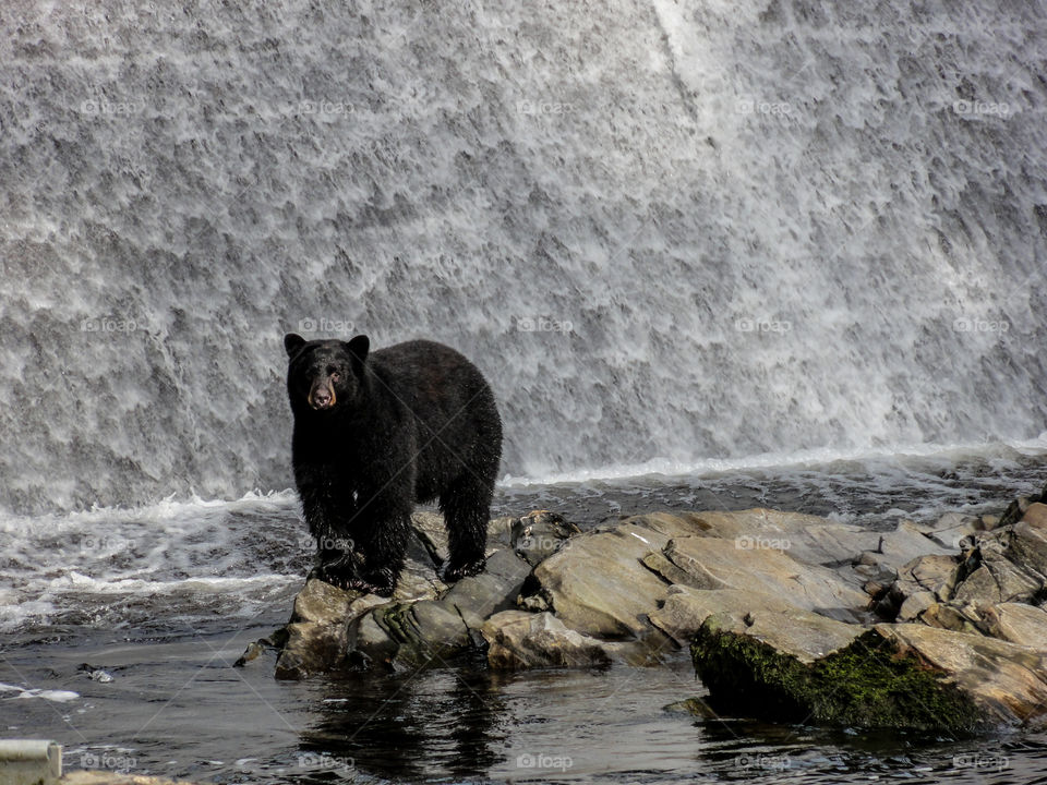 Beauty in Alaska