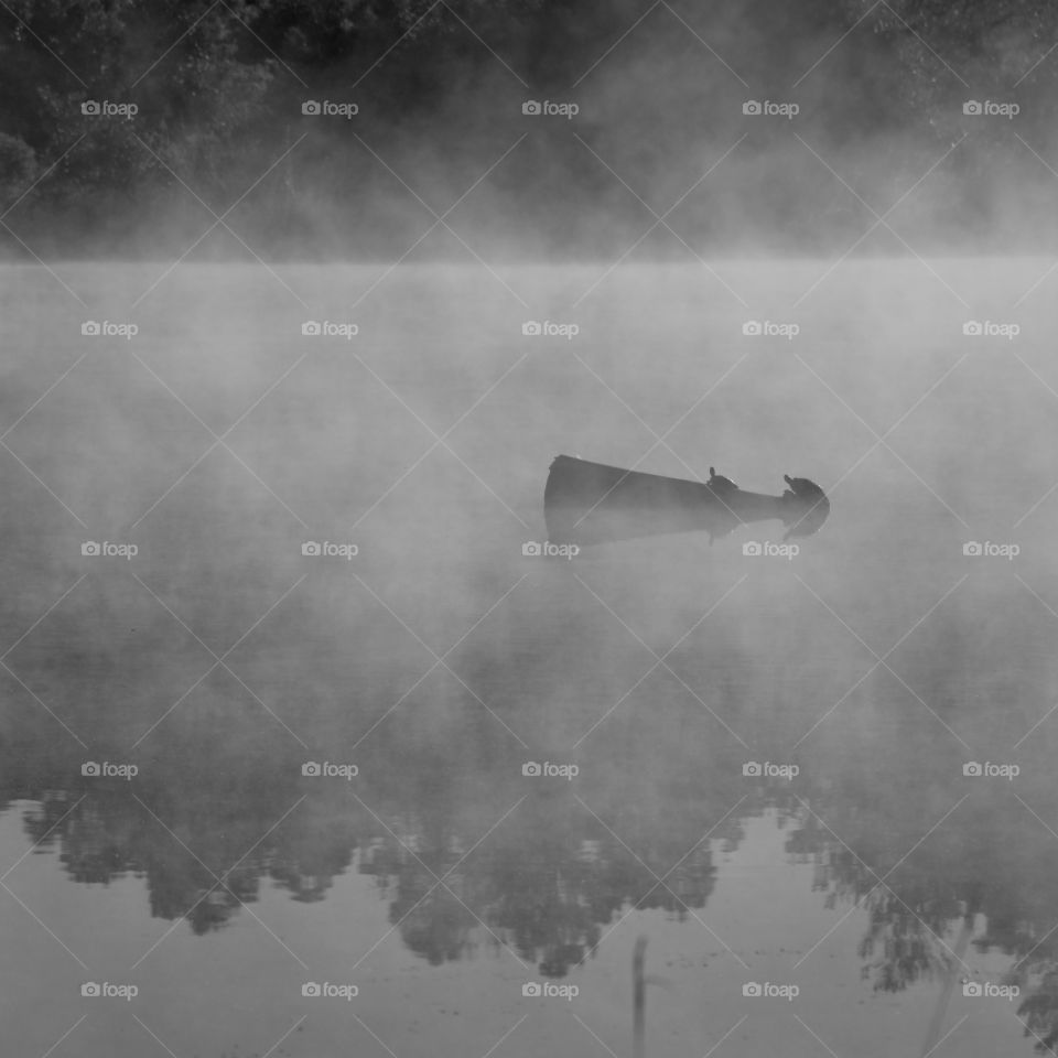 Happy Grey Story: My Happy Grey Story photos shows cool, neutral, and balanced color which
communicates some of the strength and mystery of black!