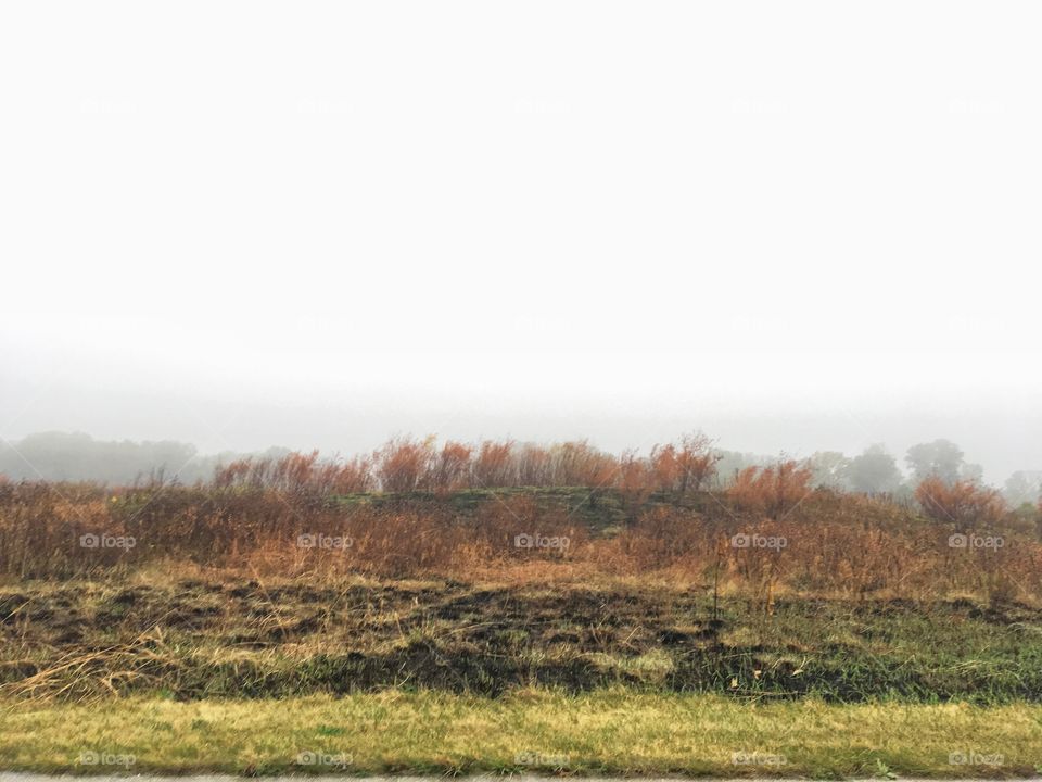 Hillside landscape in the fall 