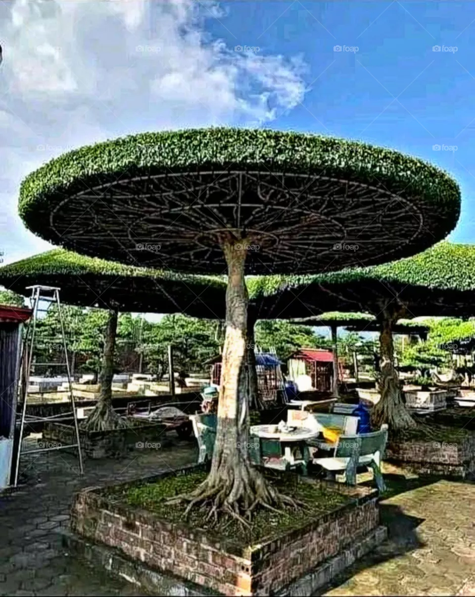 A beautiful and attractive view in the garden.