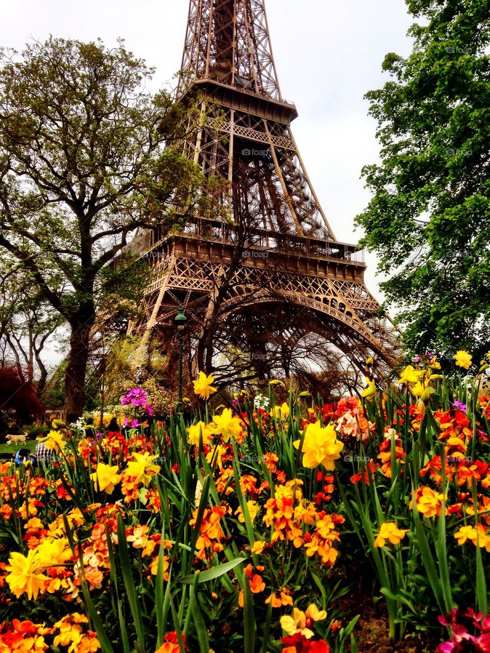 Spring in Paris