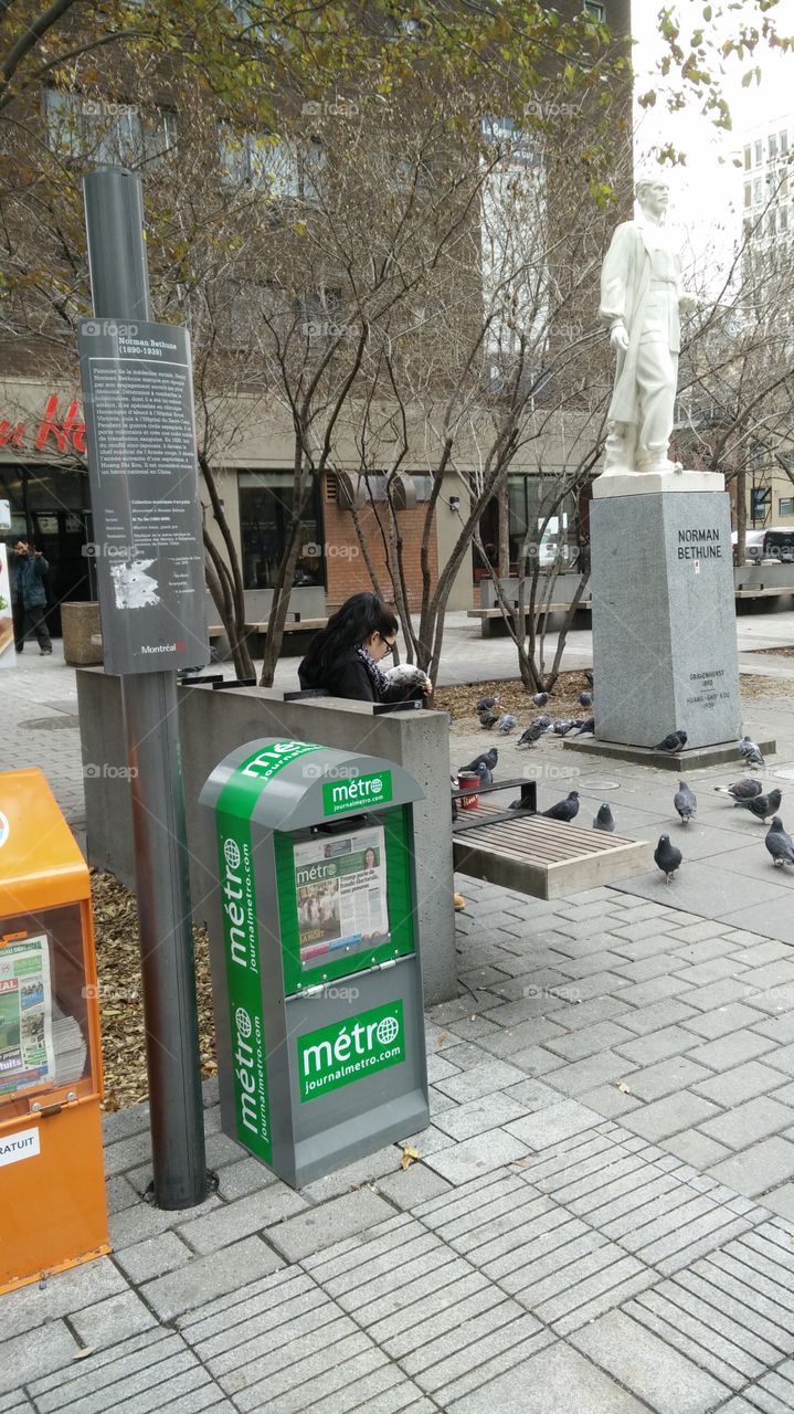 girl feeding pigeons from hands on the street