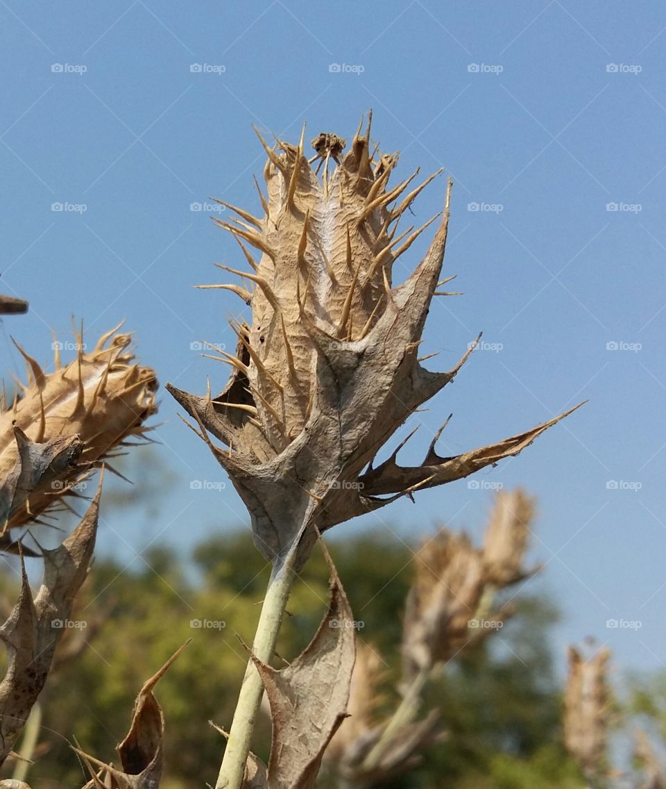 Life is not easy for everyone.