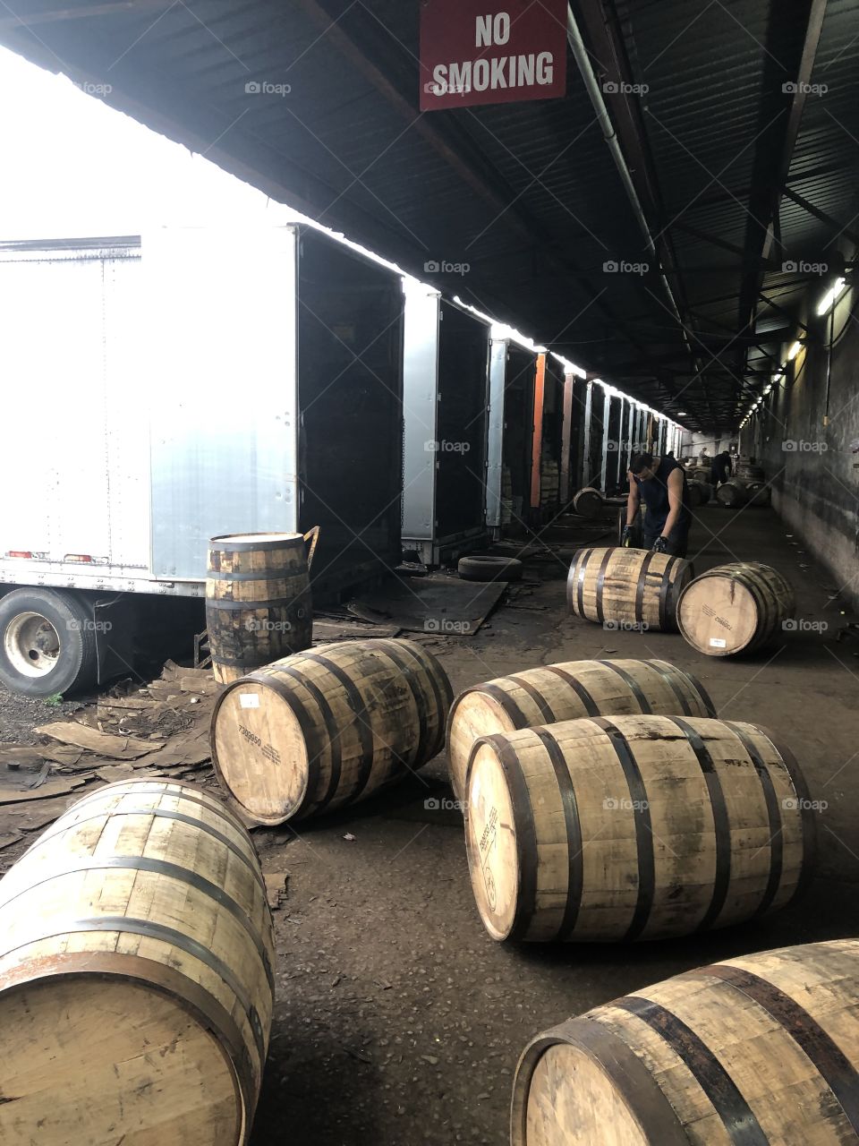 Real life donkey Kong 