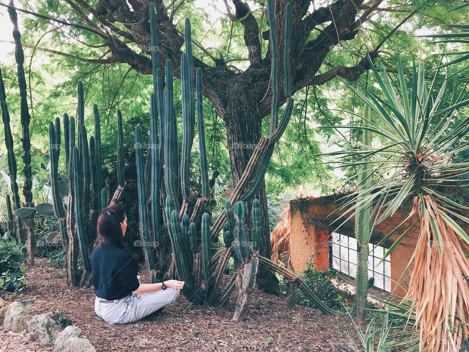 Meditation in the tropical garden