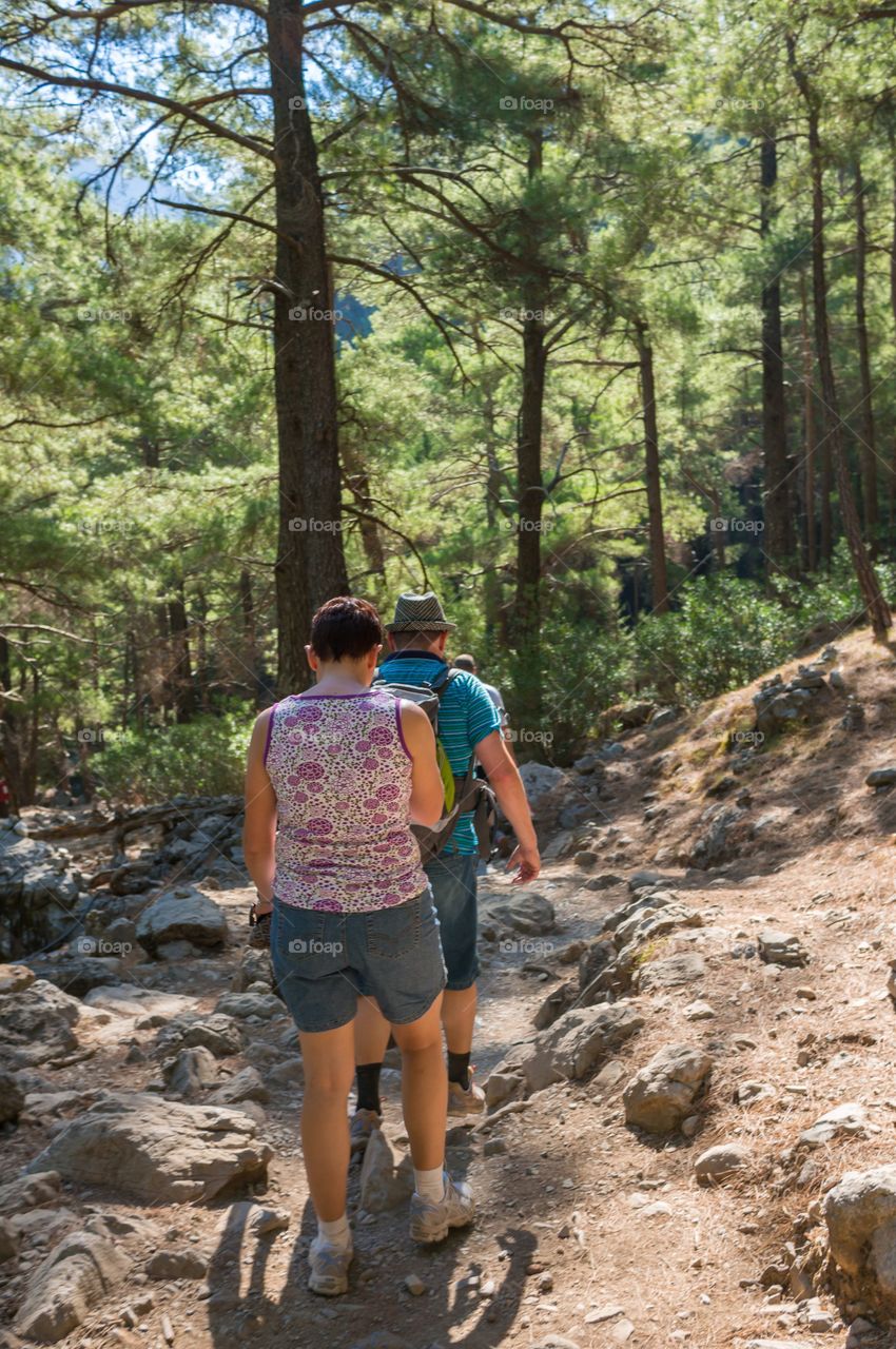 Outdoors, Nature, Wood, Tree, Hike