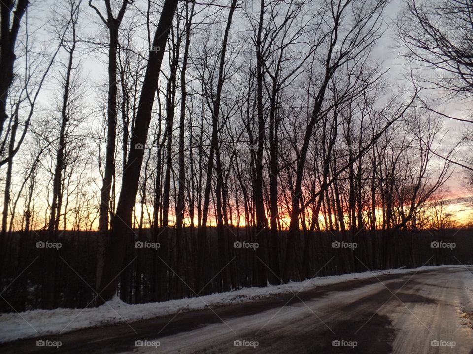 Northern Michigan 