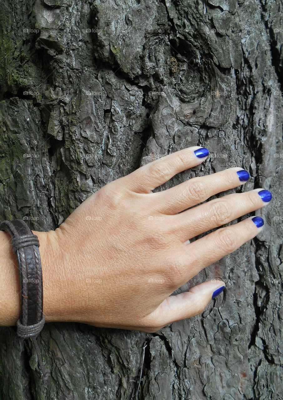 Outdoors, Woman, Hand, Nature, Tree