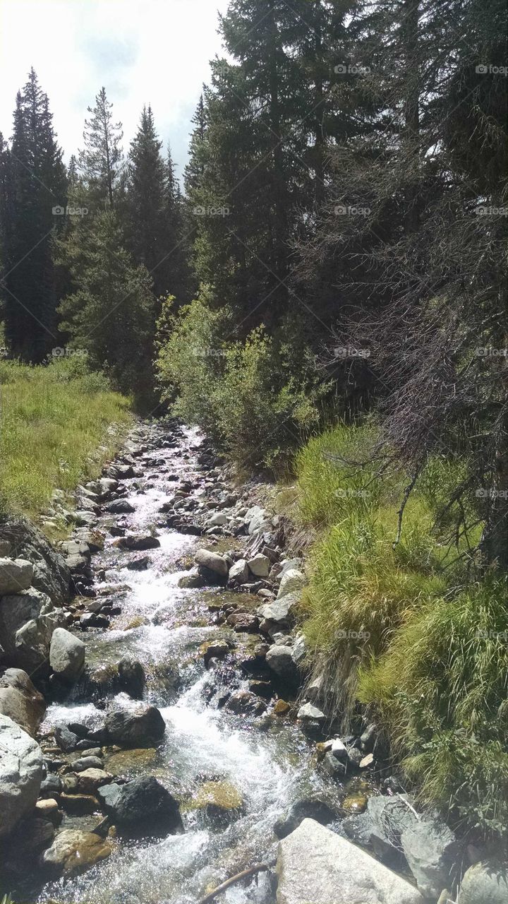 Crystal clear water flows in a mountain stream of Colorado