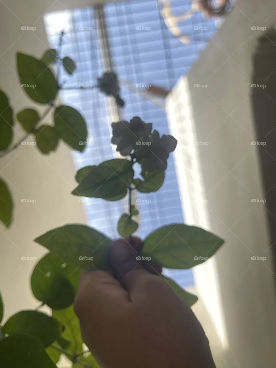 Up and down