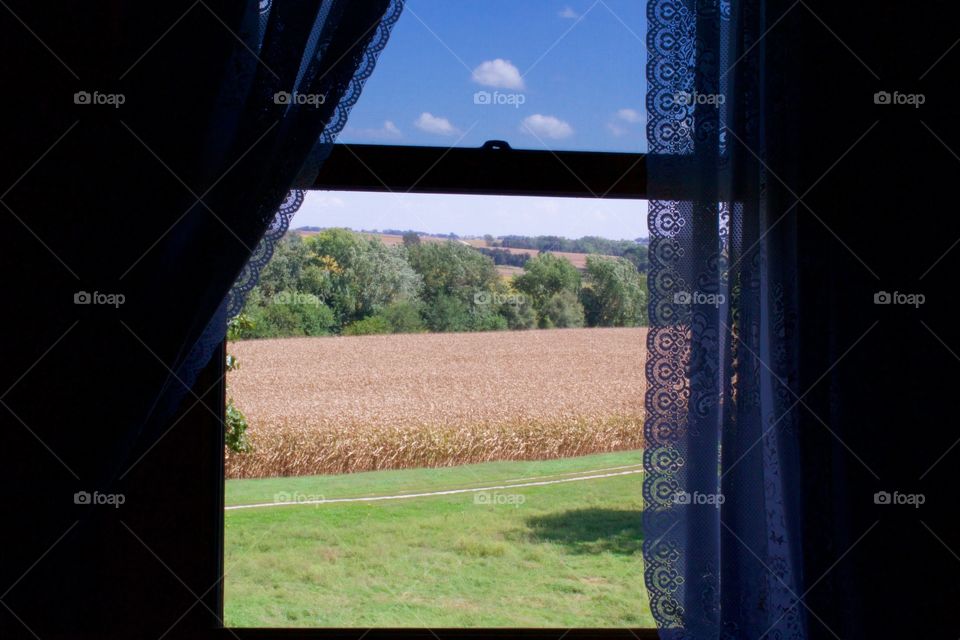 View of blue sky and clouds, cornfields and tree-covered, rolling hills through an upper-story,  silhouetted window with white lace curtains on a beautiful, late summer day 