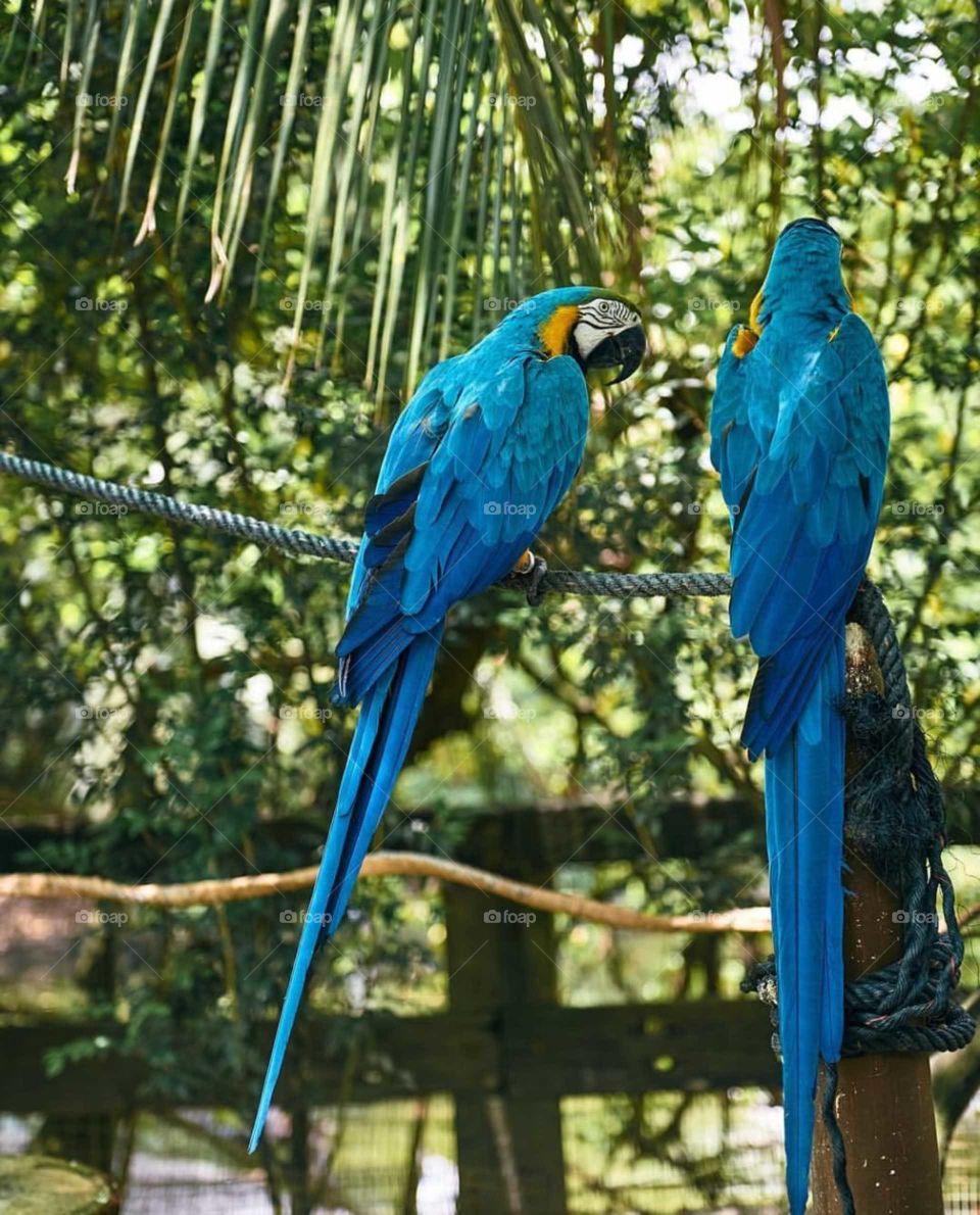 Looks like an interesting conversation