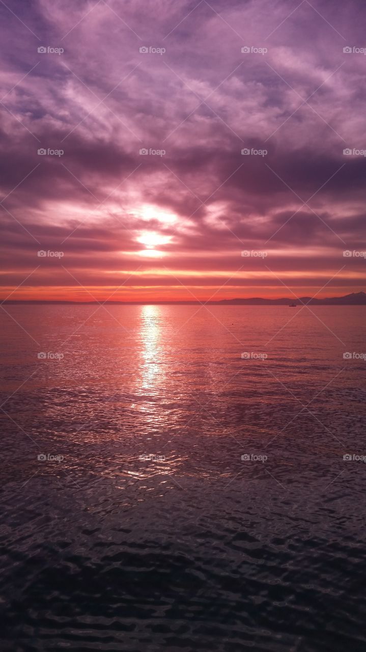 seattle sunset. Myrtle Edwards Park Seattle