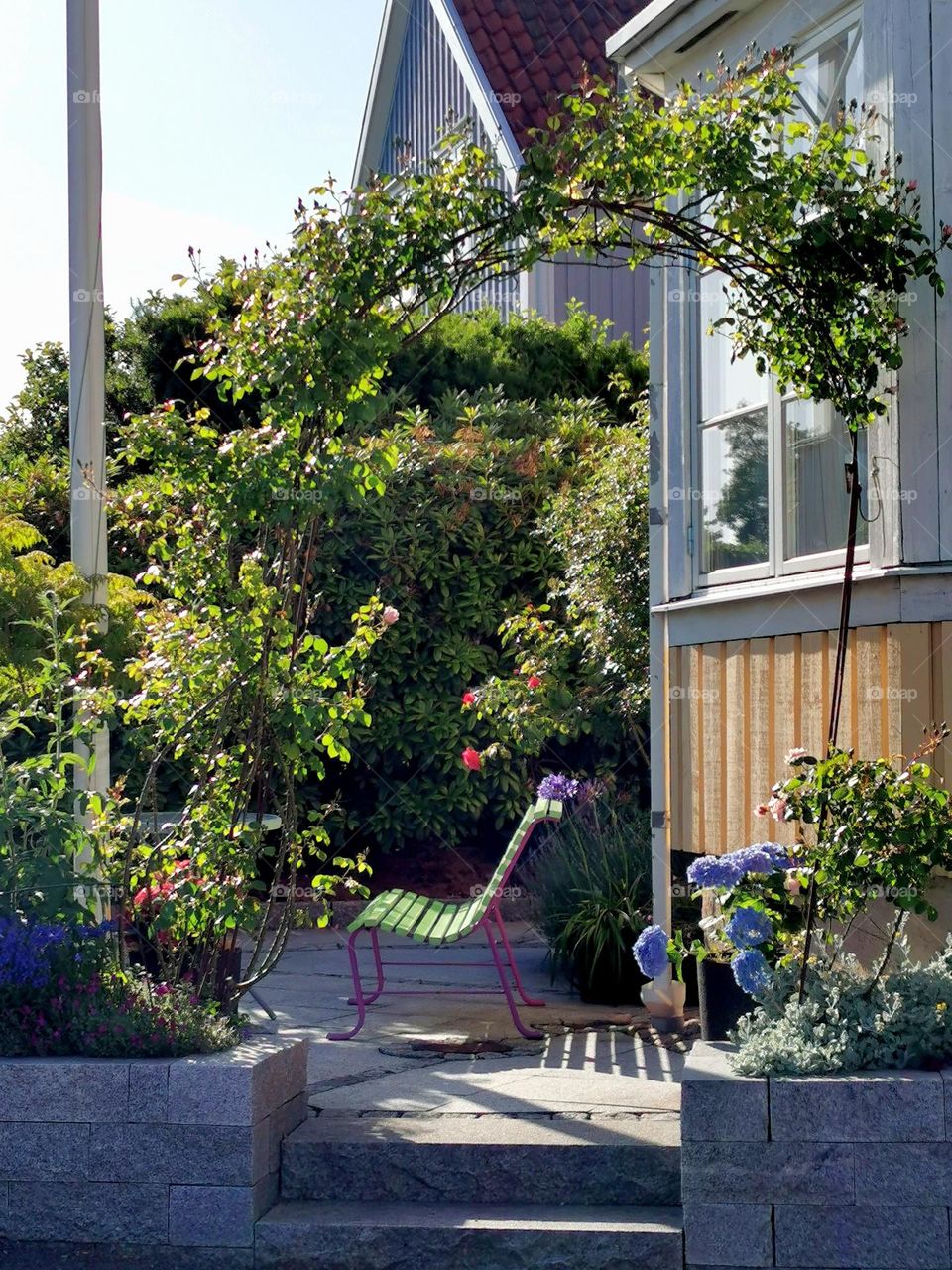 Bench in the garden