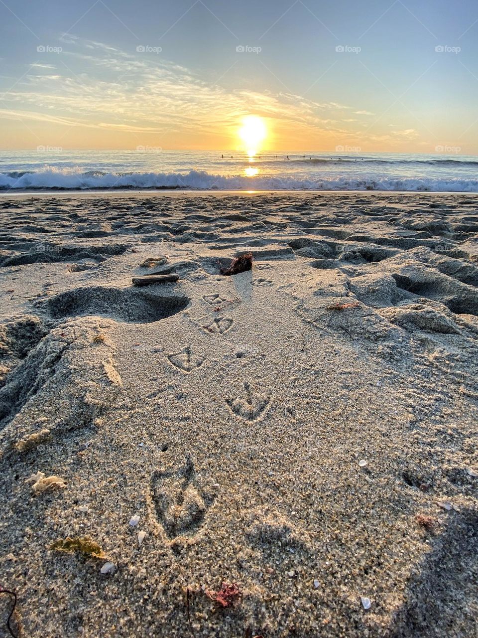 A birds footprints are made in the sand leading to the setting sun over the ocean 