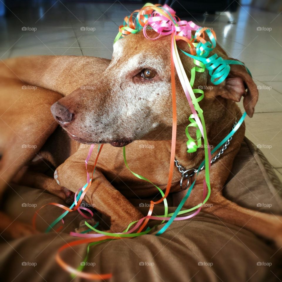 Making a greeting card with a handsome baby