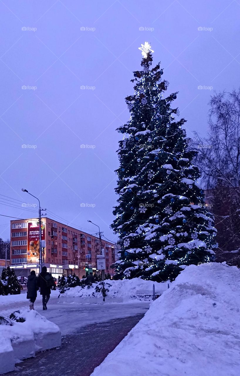 night street view cityscape Christmas time