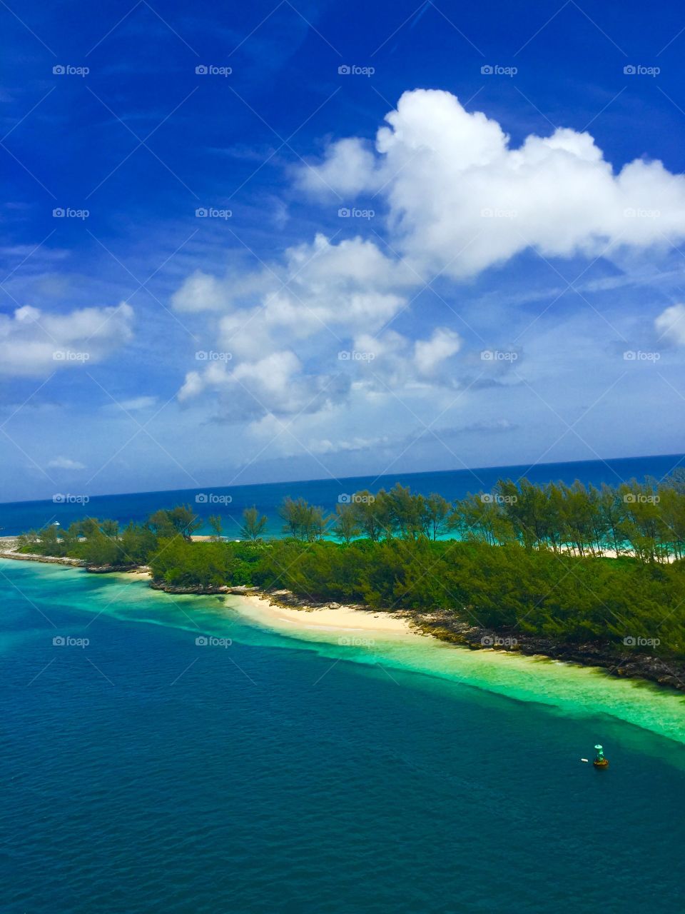 Scenic view of beach