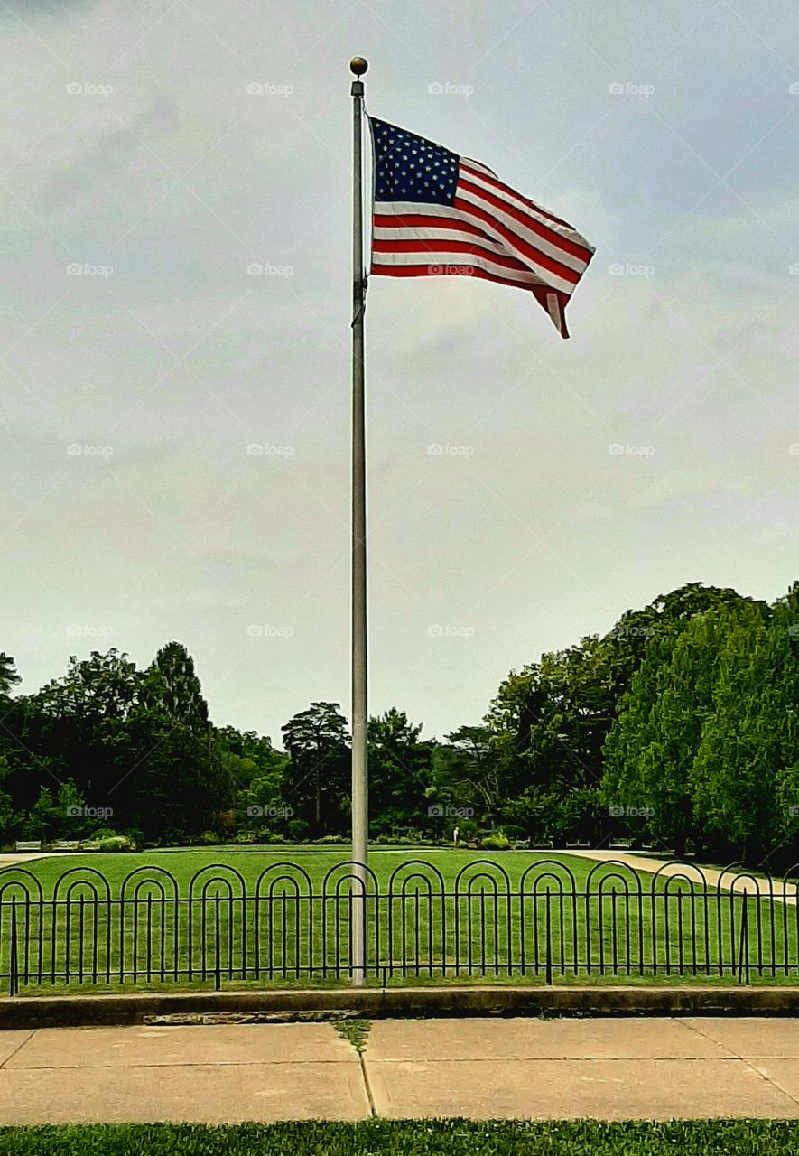 Flag at Ault Park