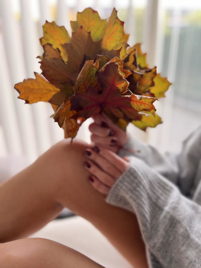 Autumn treasures 