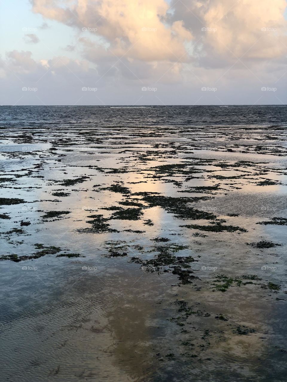 The perfection of the shore can only be enhanced by the setting sun 