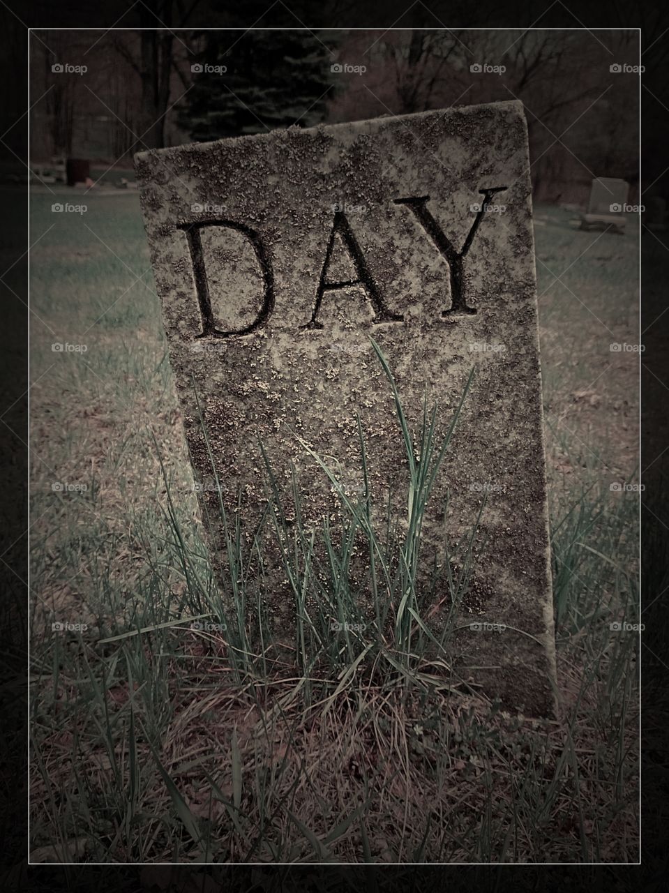Day. I love cemeteries and gravestones.  The name really stood out.