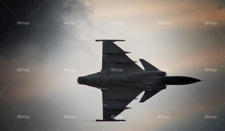 The Grippen fighter jet.