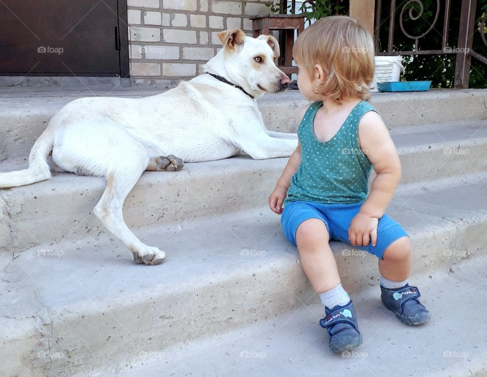 a kid with a dog