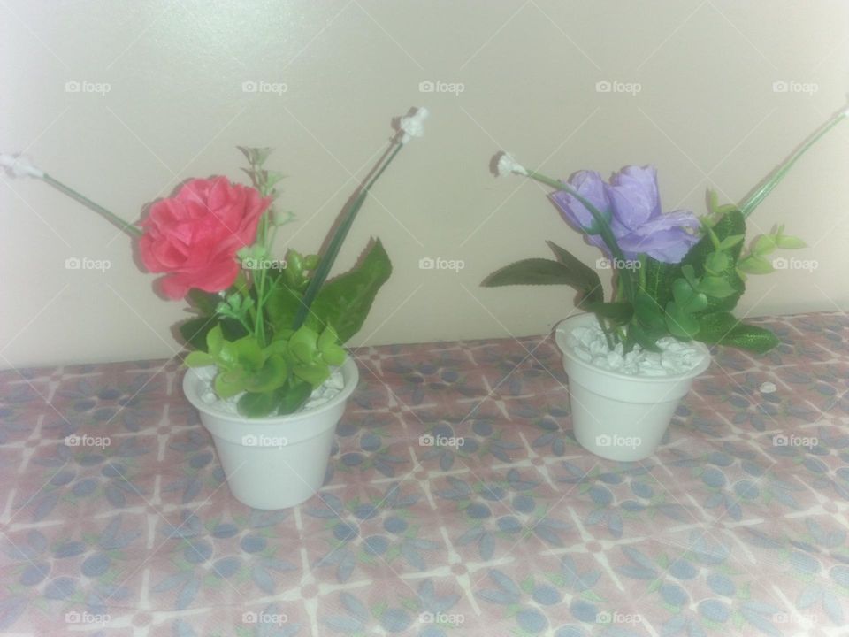 Flowers in vases