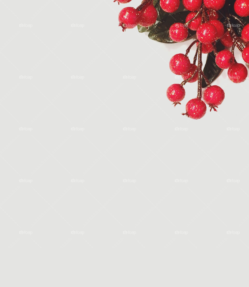 Studio shot of christmas berries