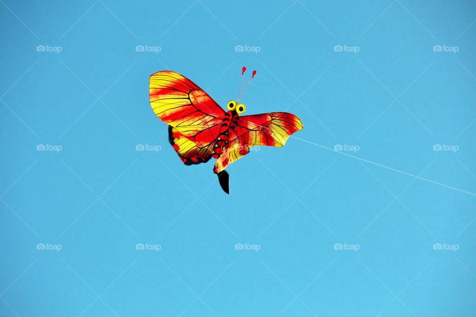 kite21