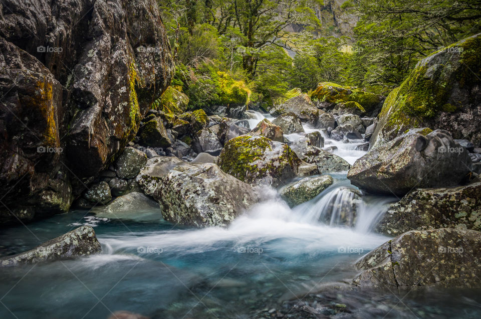 Upper Hollyford River, Hollyford Valley, Fiordland National Park, South Island, New Zealand