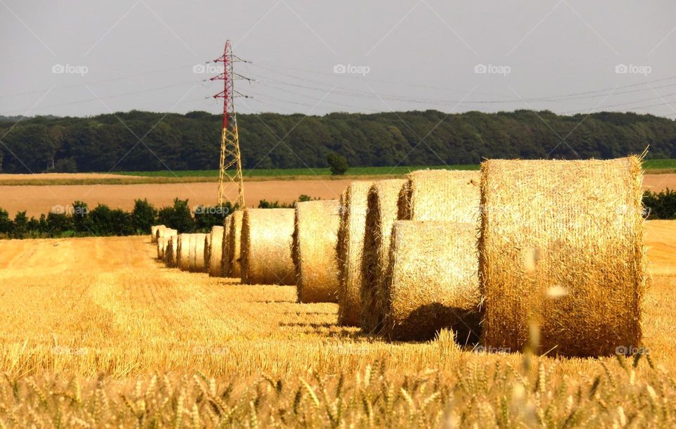 haystacks line