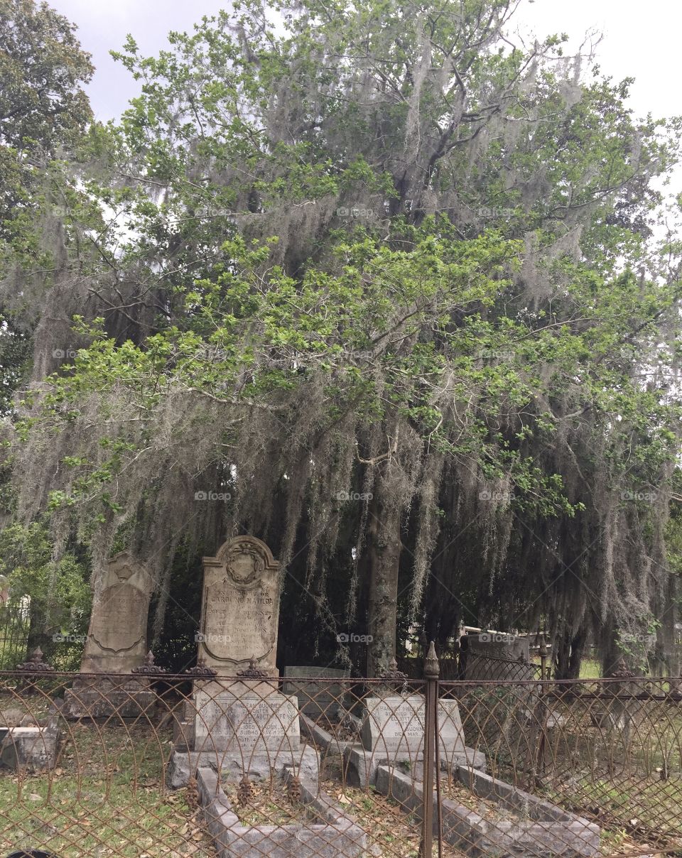 Hauntingly beautiful grave in Savannah Georgia 