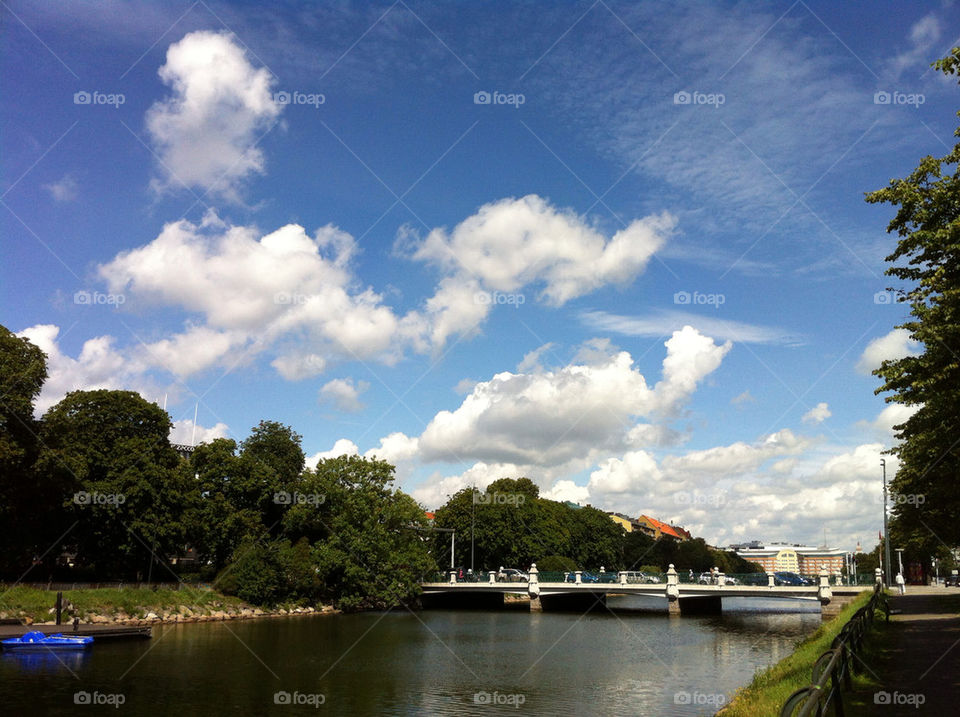 malmö sweden tree träd by ingrid13